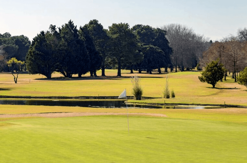 Club Newman
